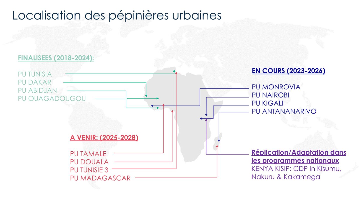 Les différents projets de pépinières urbaines en Afrique